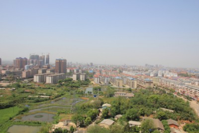 IMG_1773_编辑_编辑_编辑_编辑.jpg